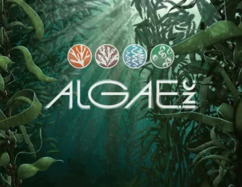 Algae inc.